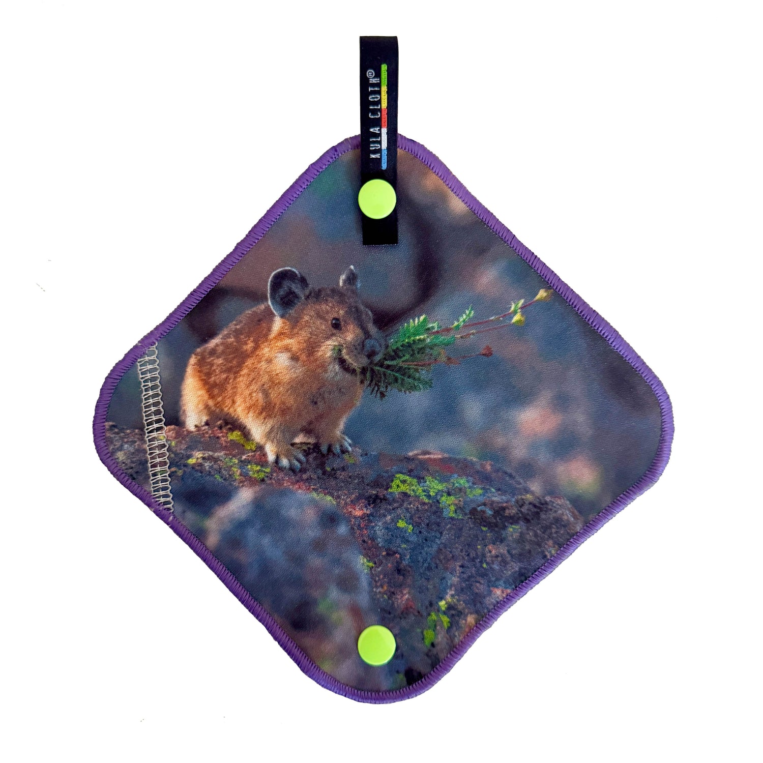 'Busy Alpine Buddy' - Kula Cloth ® Artist Series