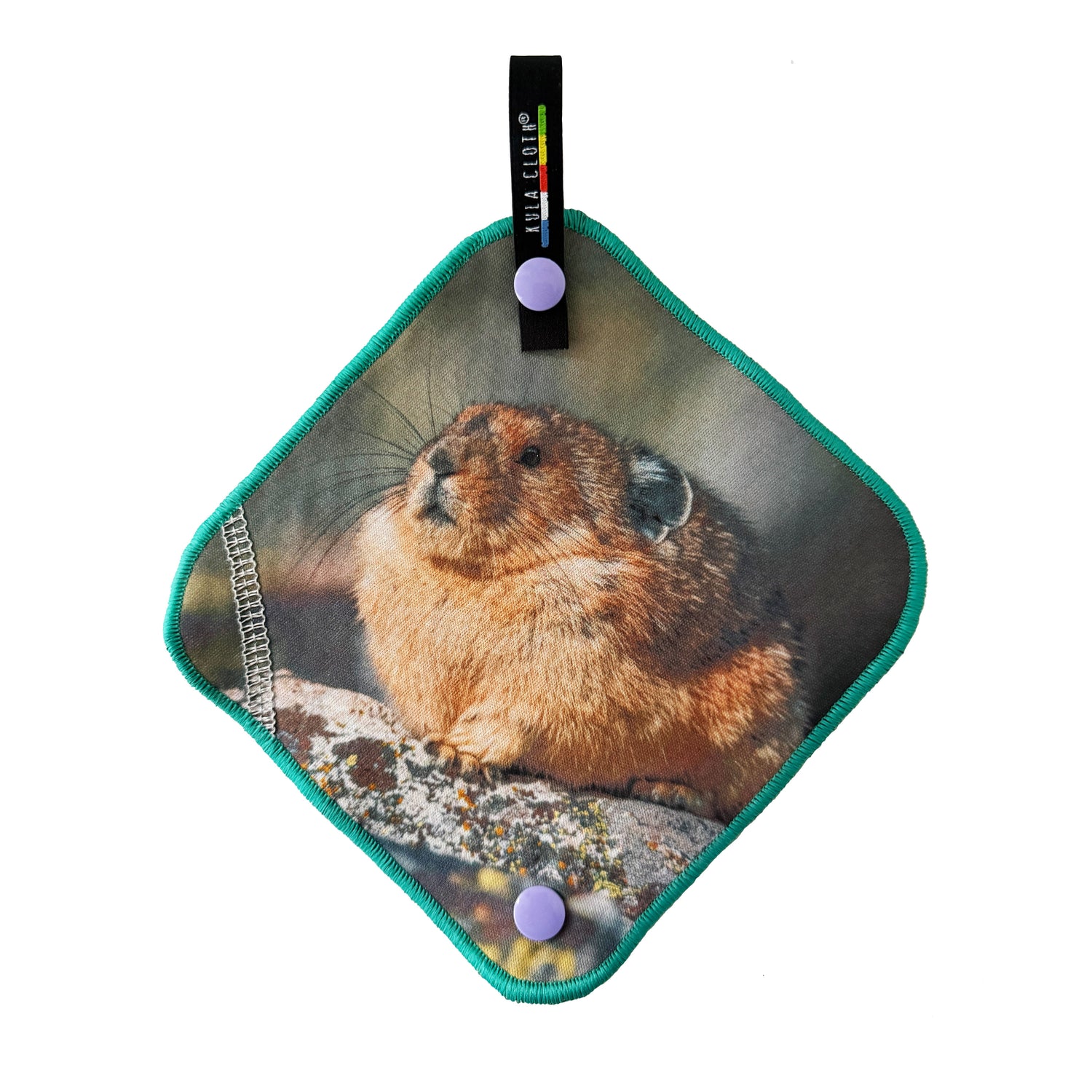 'Plump Pika Perfection' - Kula Cloth ® Artist Series