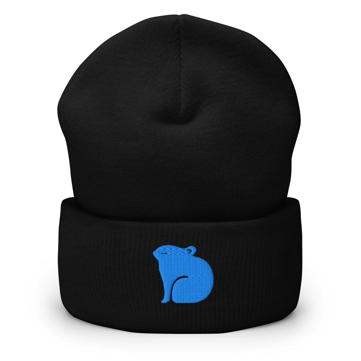 Pyka Beanie