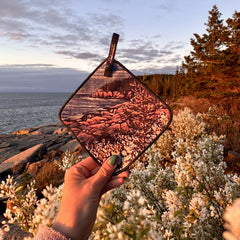 Hand holding a pee cloth in a Maine landscape with white flowers in the foreground