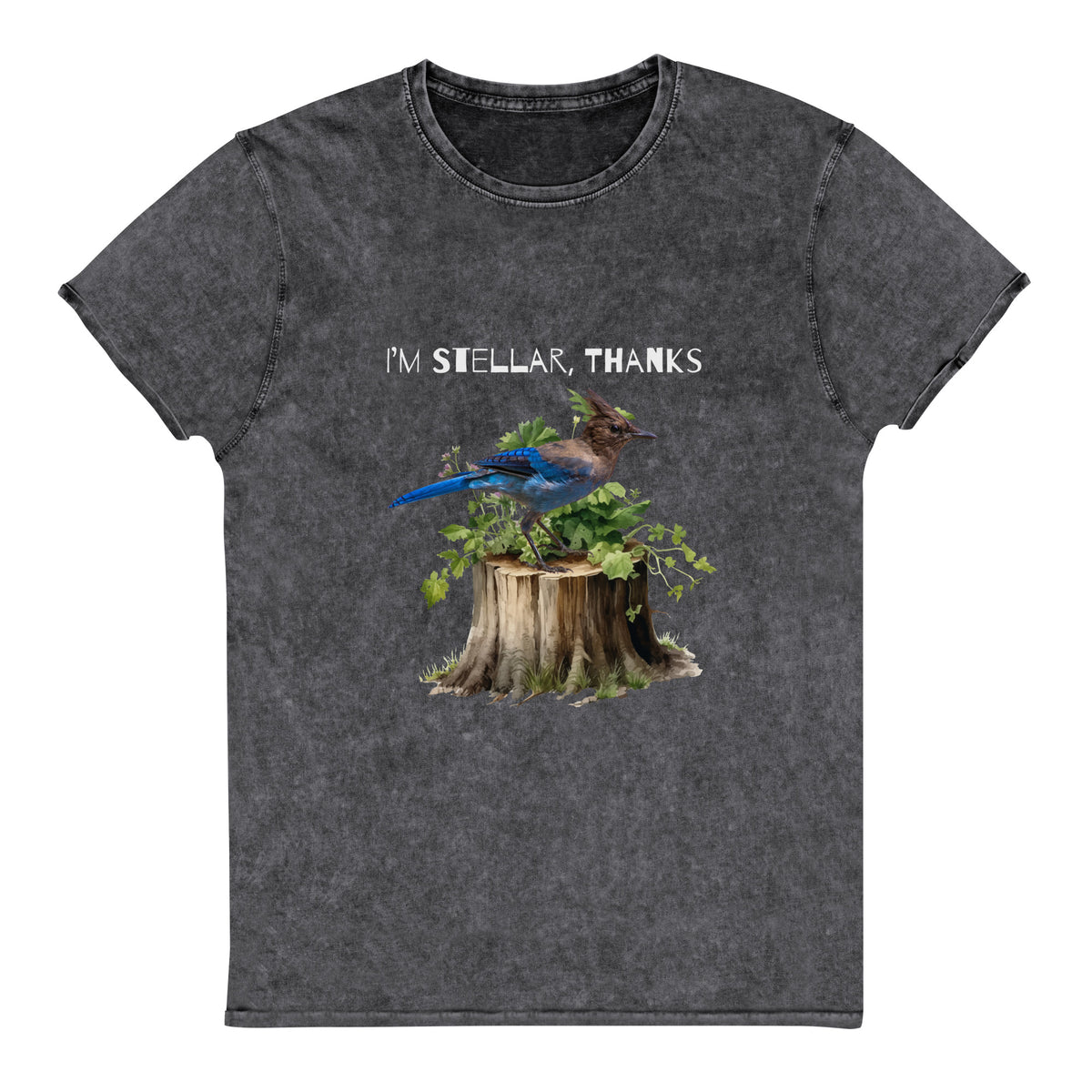 Stellar Wash Shirt